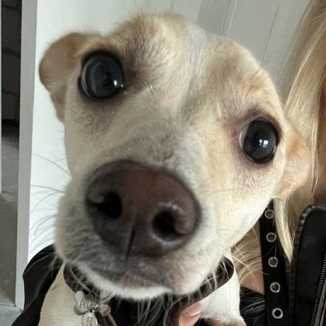 OG Buda' аватар