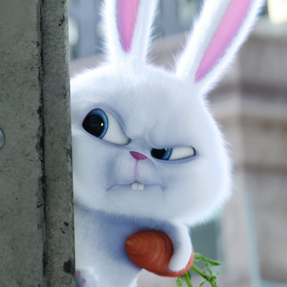 Никита Титков