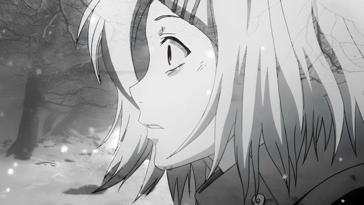 Cover photo