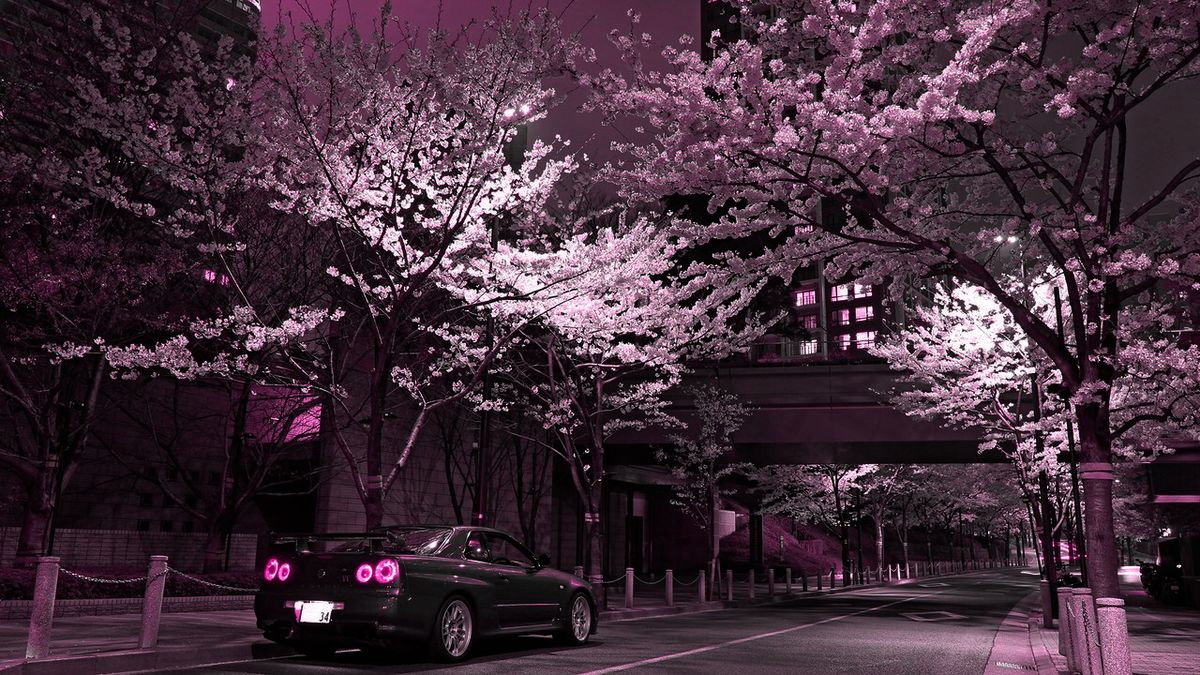 Cover photo