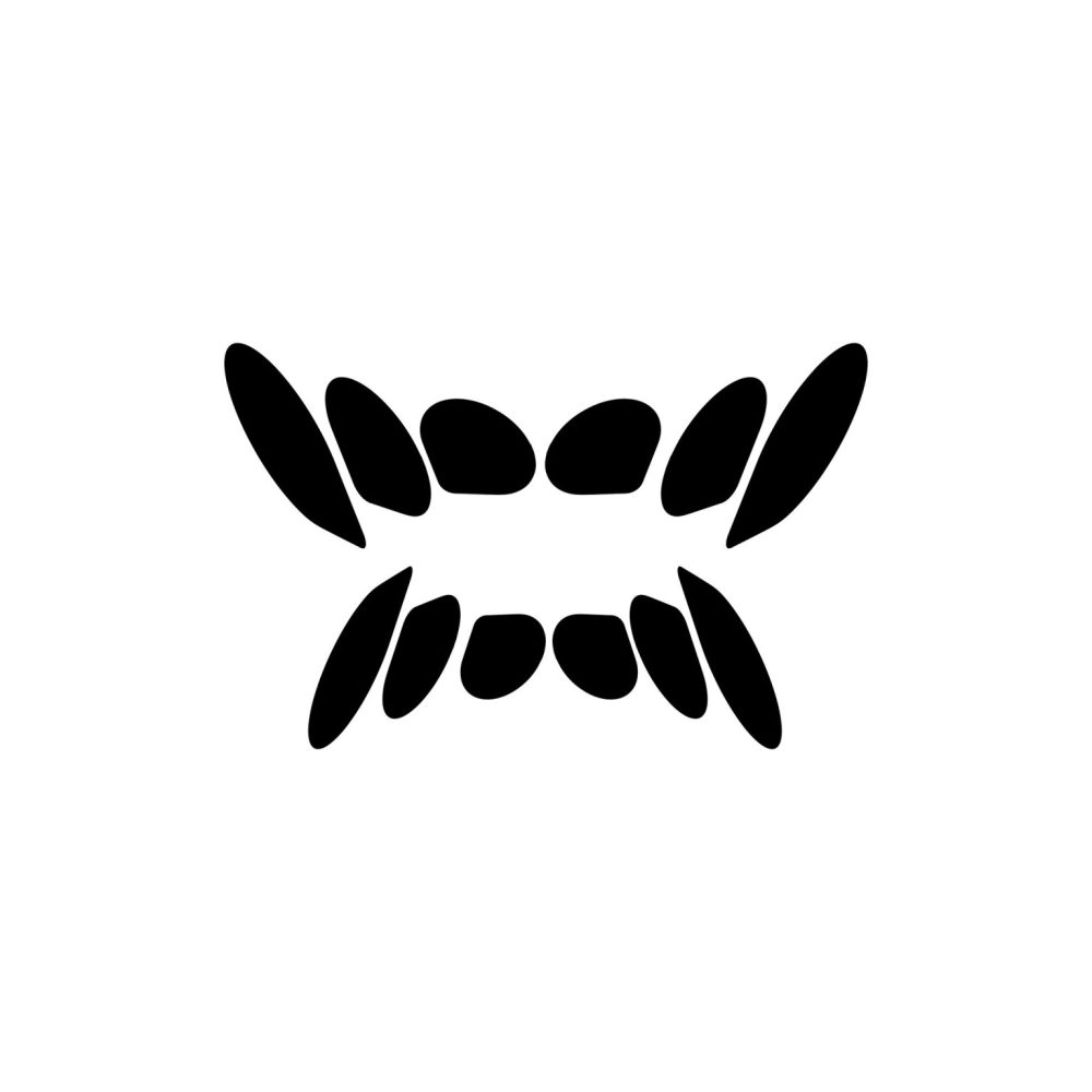 DollategaBeatz' аватар