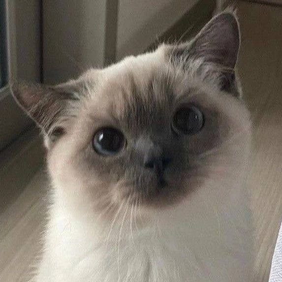 mizeki