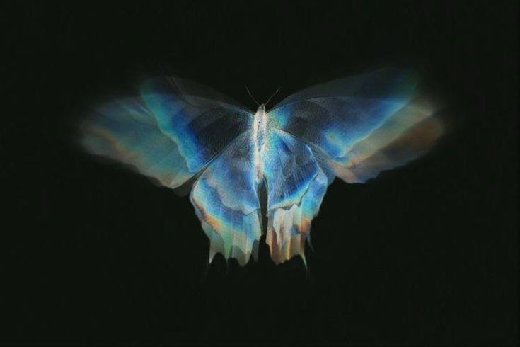 Cover photo