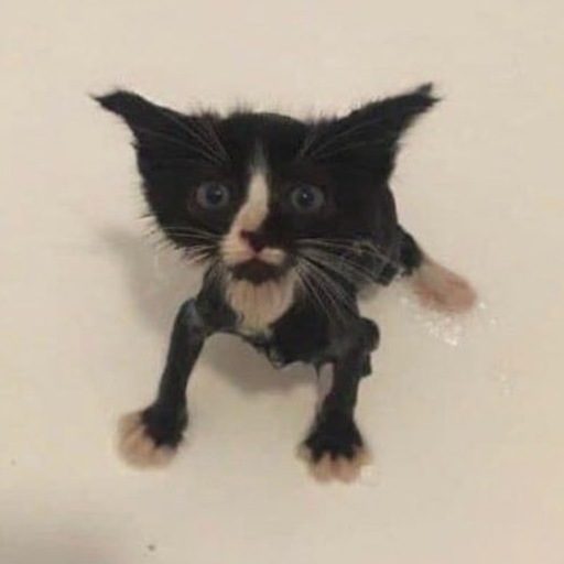 ИгорянЛегендаСвэга1337