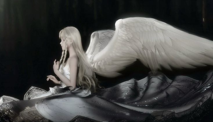 Cover photo
