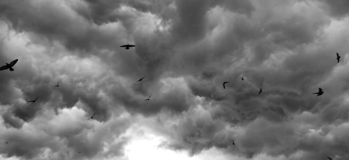 Cover photo
