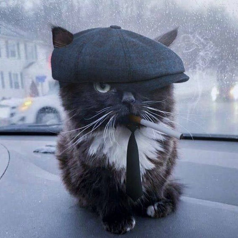 Авторитетное мнение