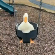 Тульский Пряник