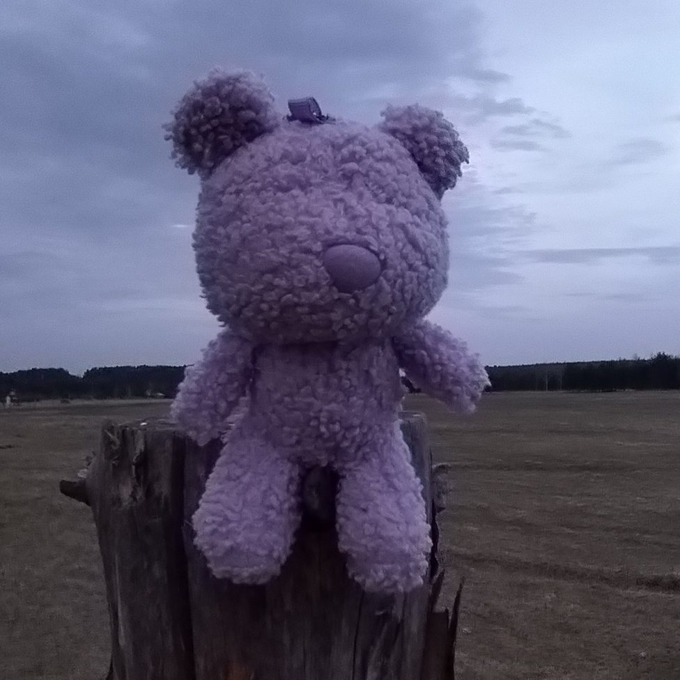 фиолетовый медведь