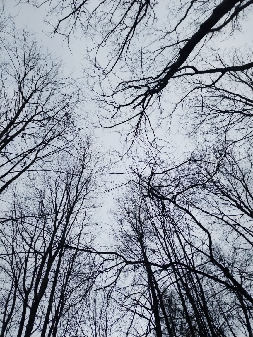 Cover photo