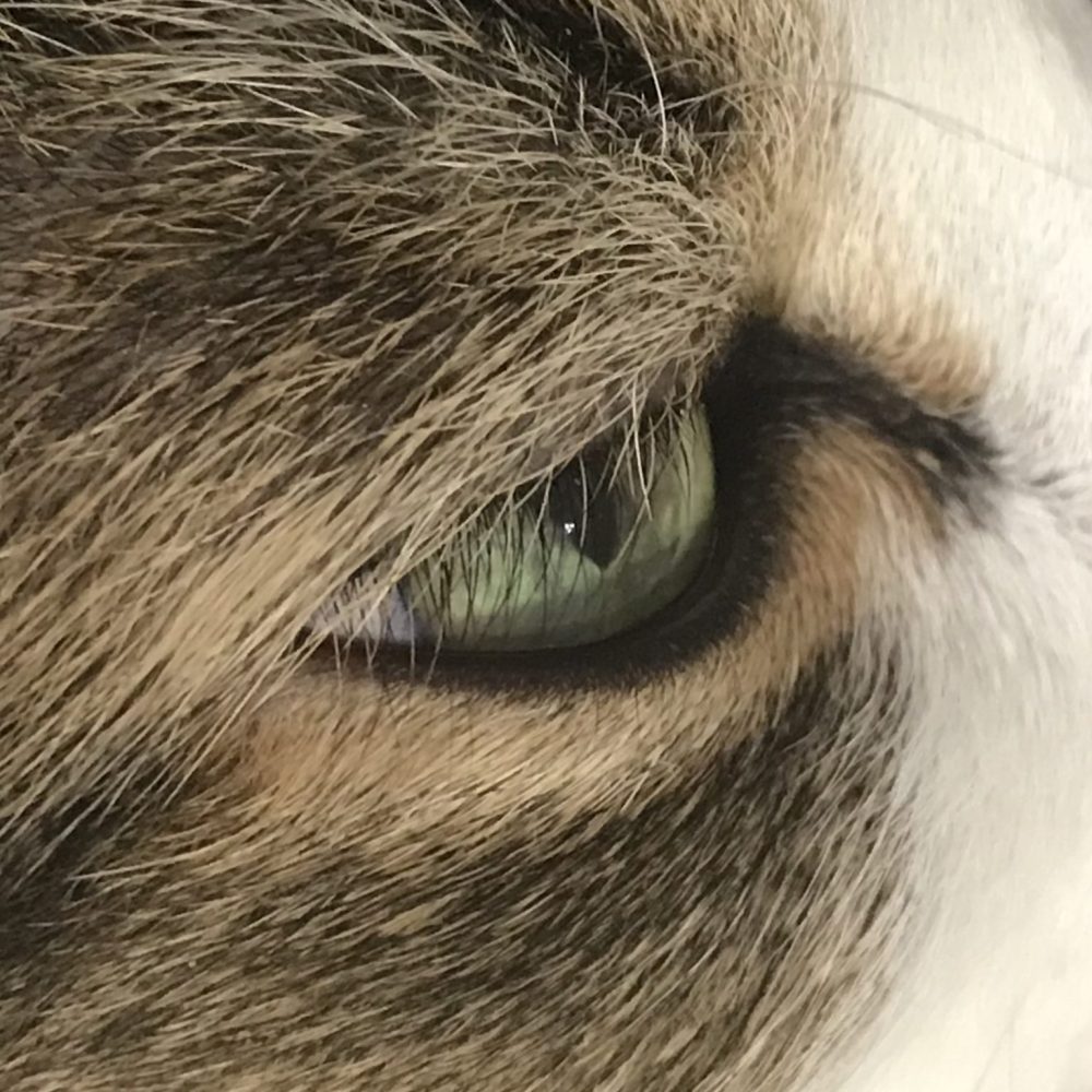 Екатерина20244