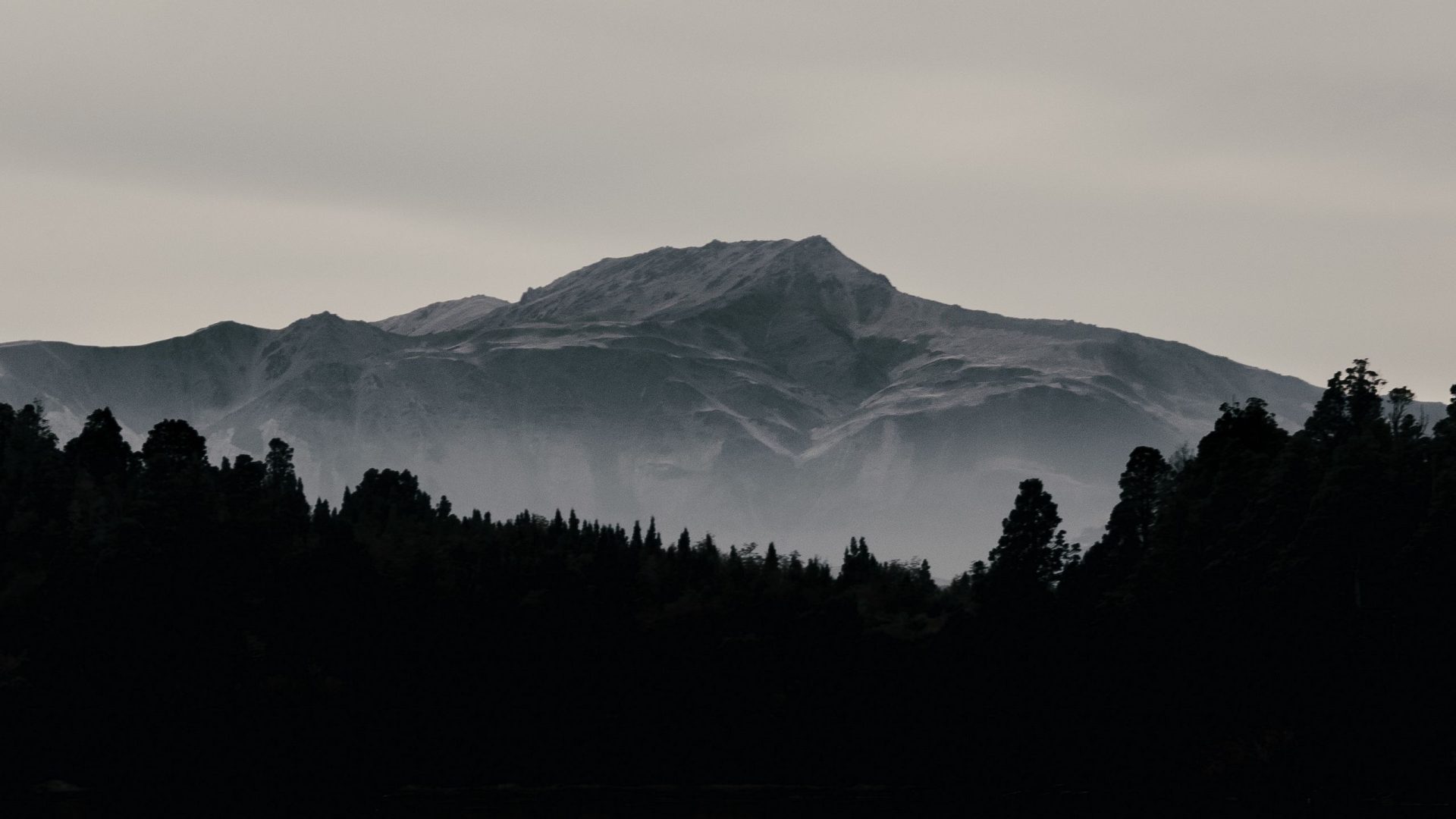 Cover photo