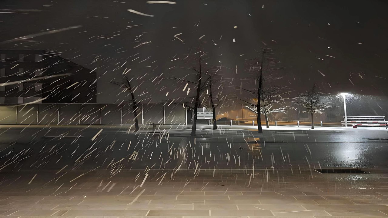 Cover photo