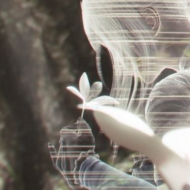 superior.kitten.proteus