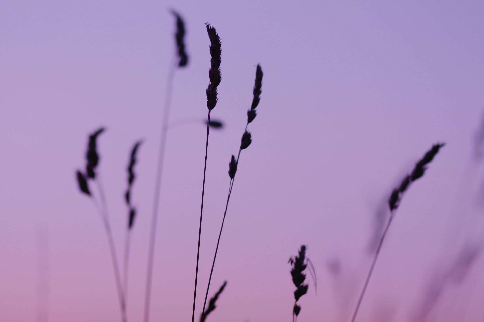 Cover photo