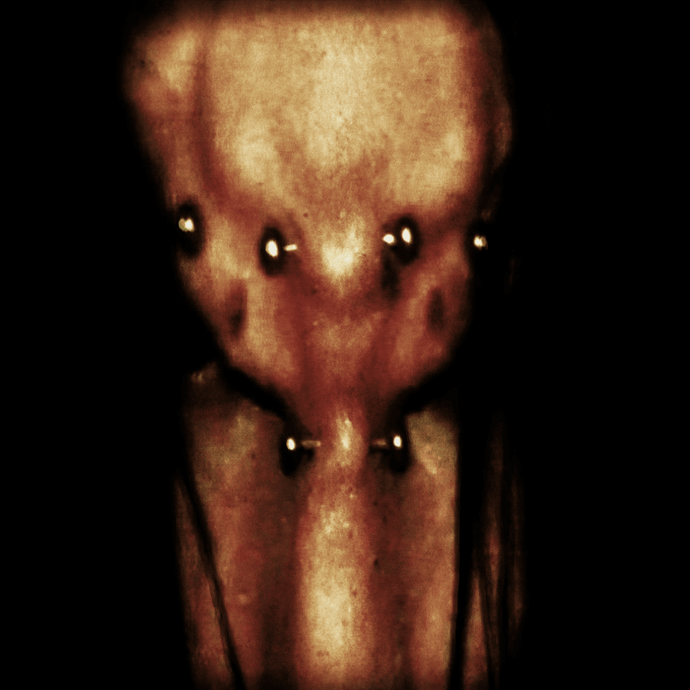 Murzik_yo!
