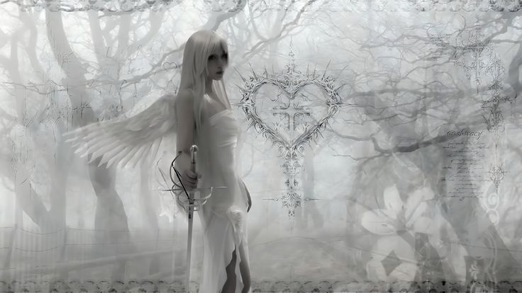 Cover photo