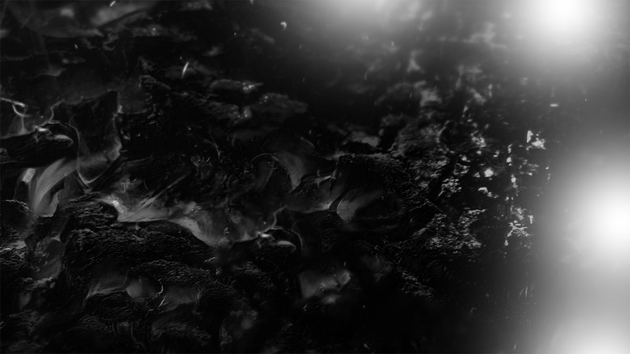 Cover photo