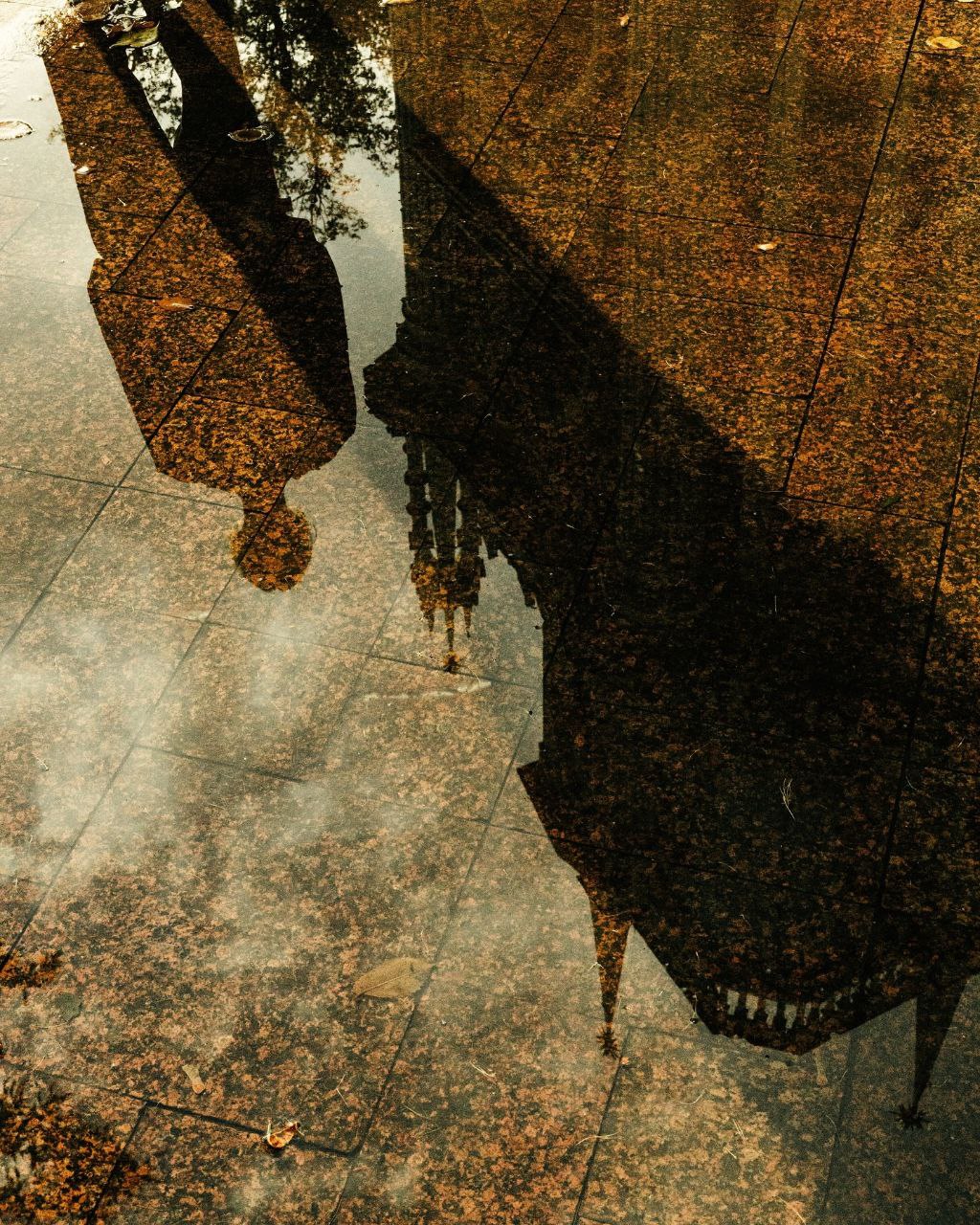 Cover photo