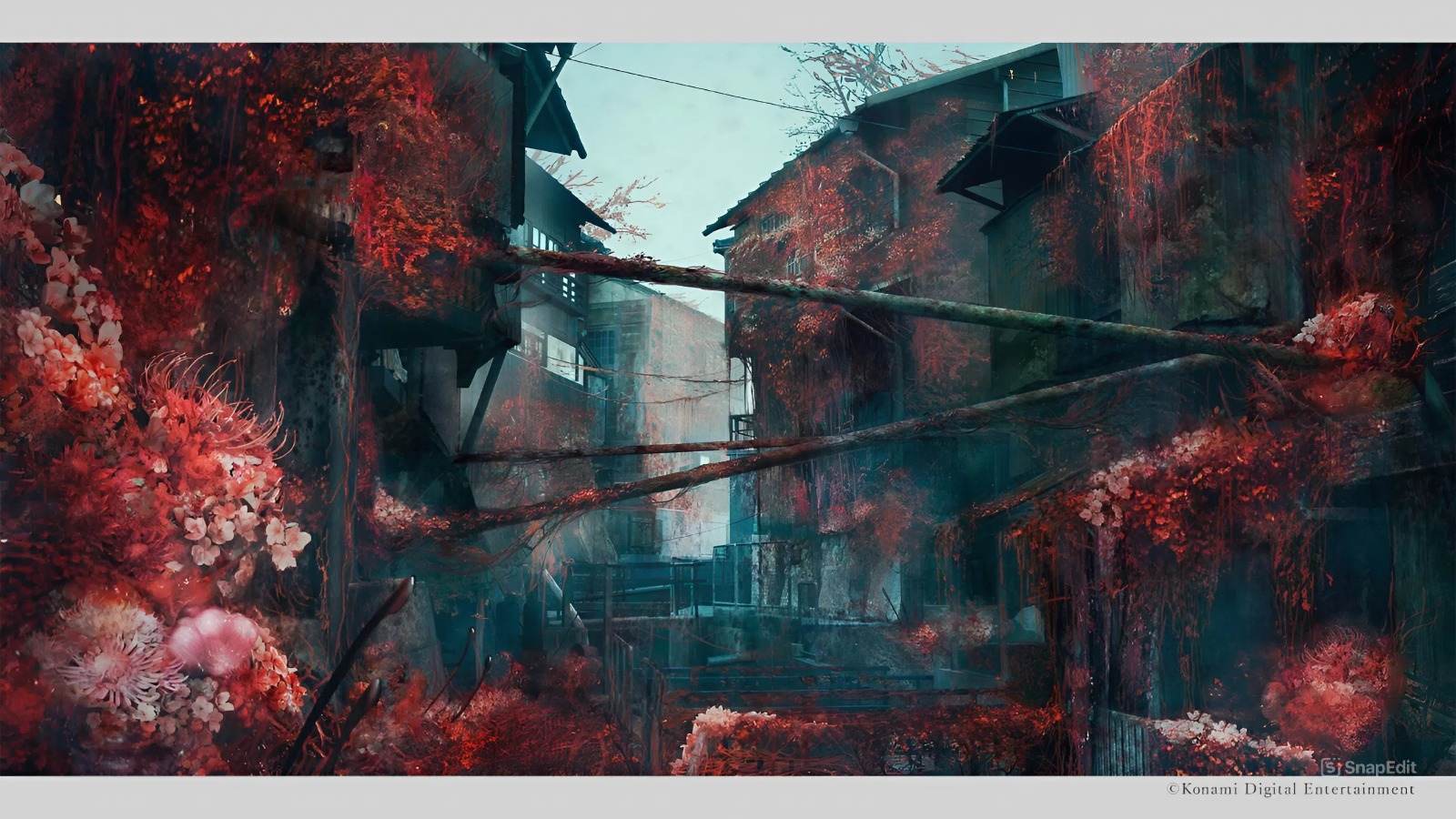 Cover photo