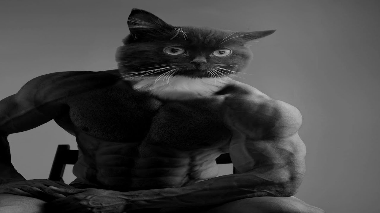 Cover photo