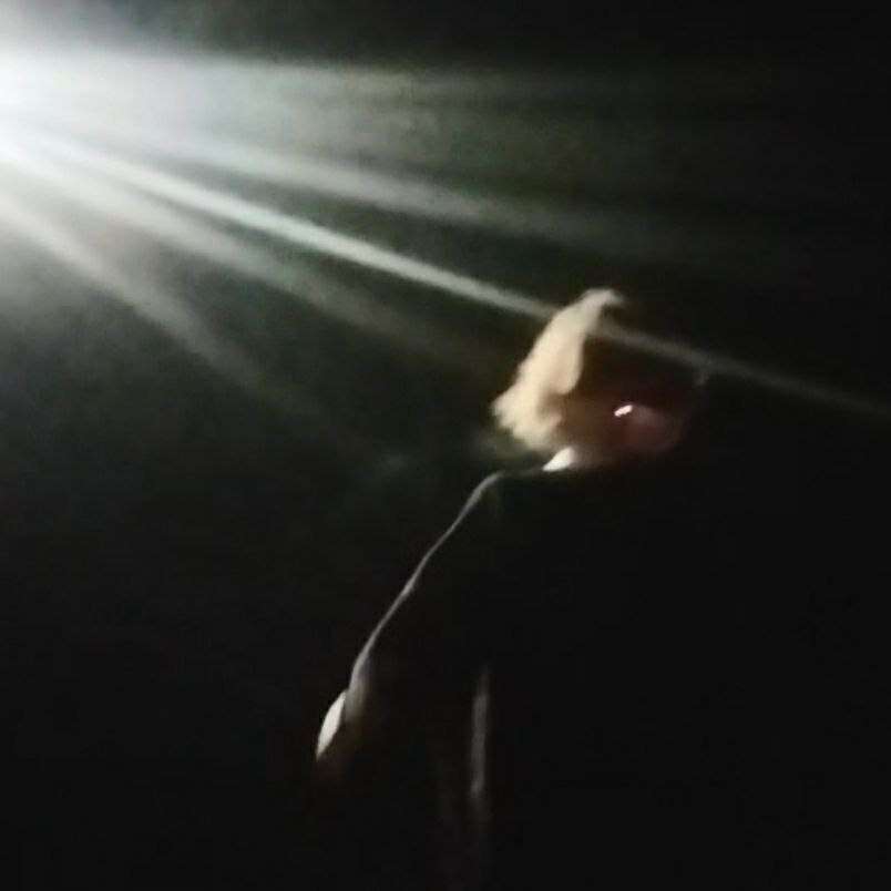 Ошибка Выжившего