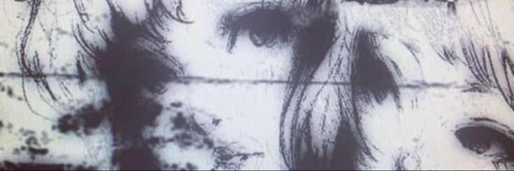 Cover photo