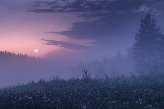 Cover photo