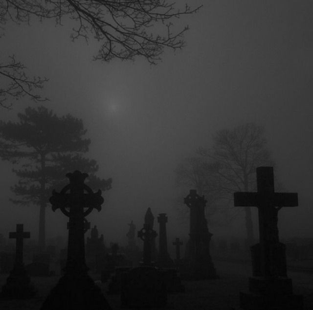 Cover photo