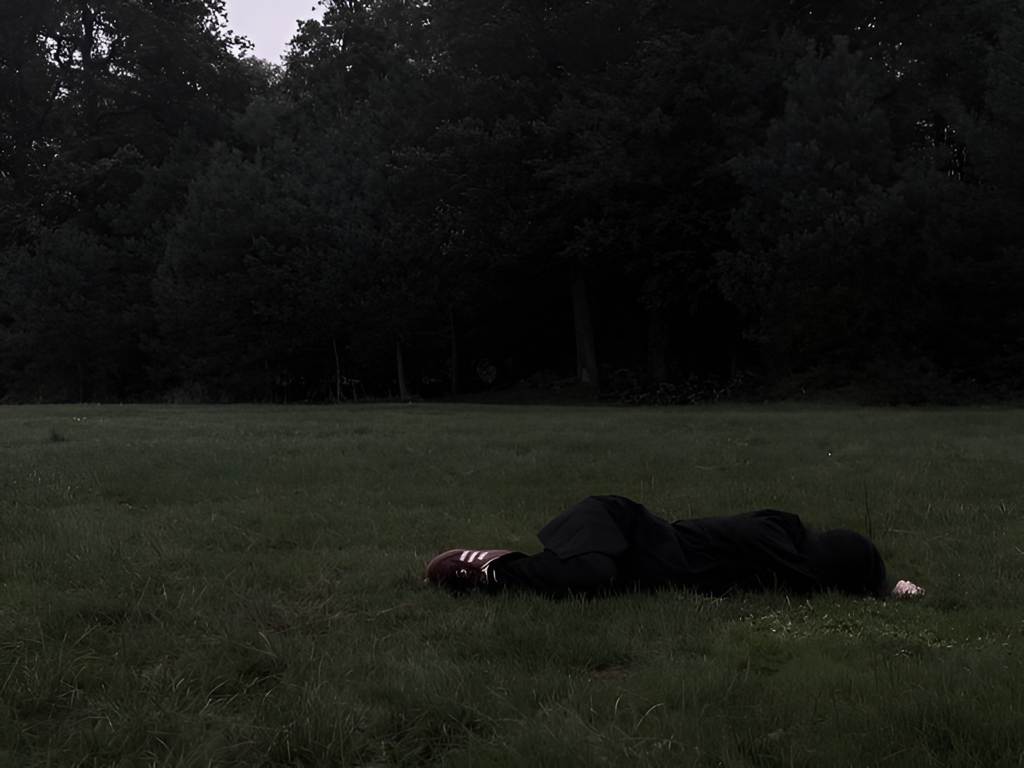 Cover photo