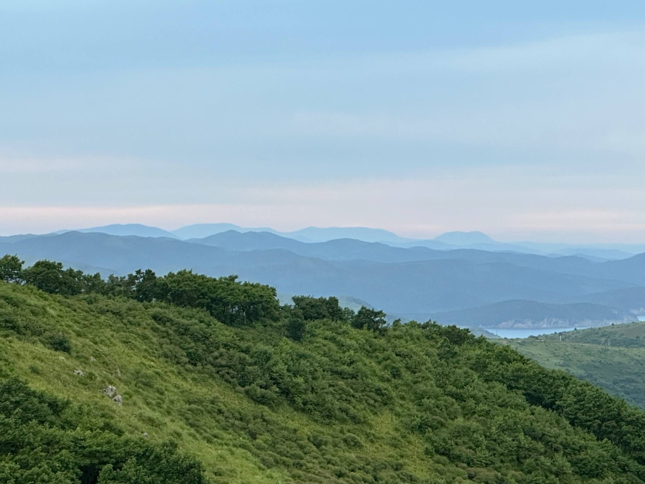 Cover photo