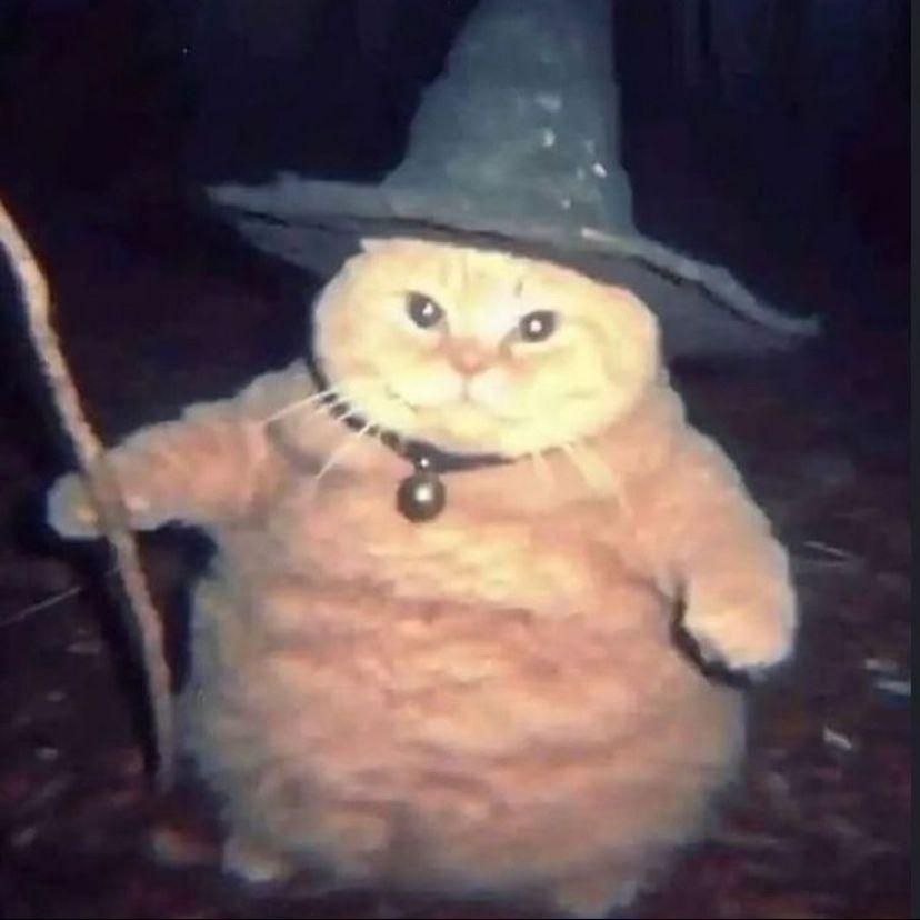 Геолог сваги