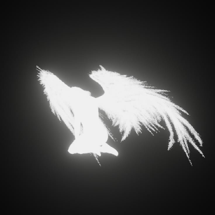 Cover photo