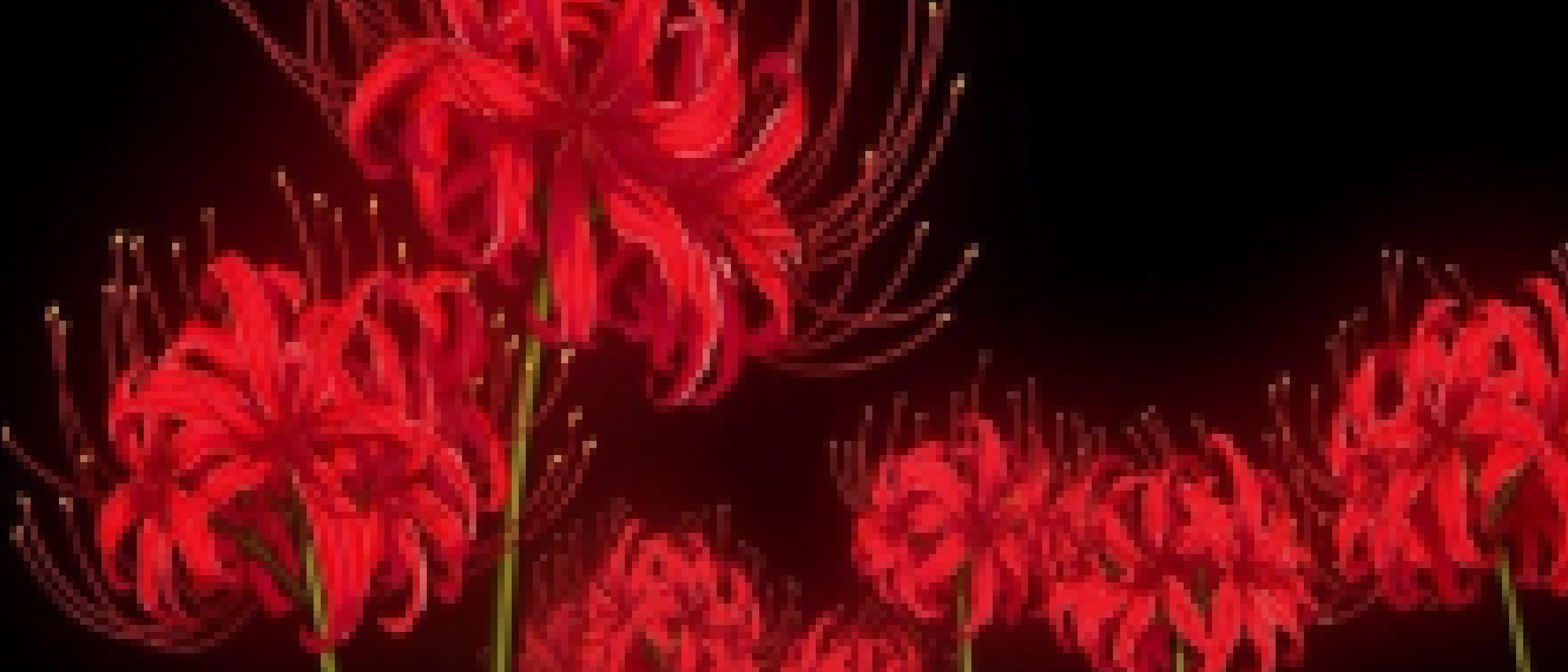 Cover photo
