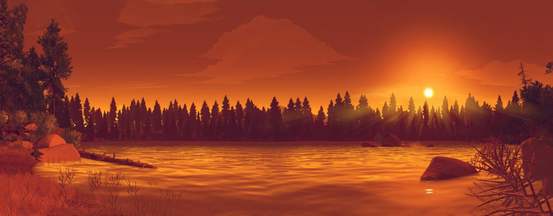 Cover photo