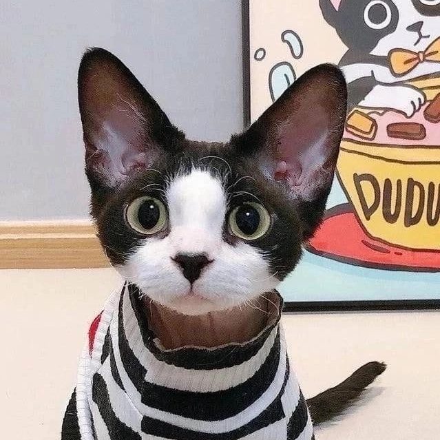 Зови меня Павлик