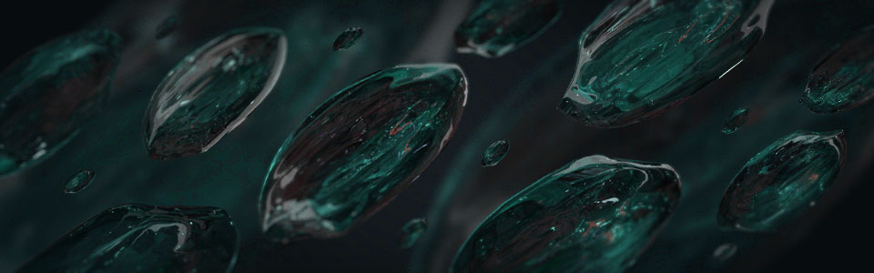 Cover photo