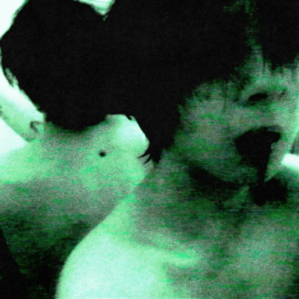 fever lie' аватар