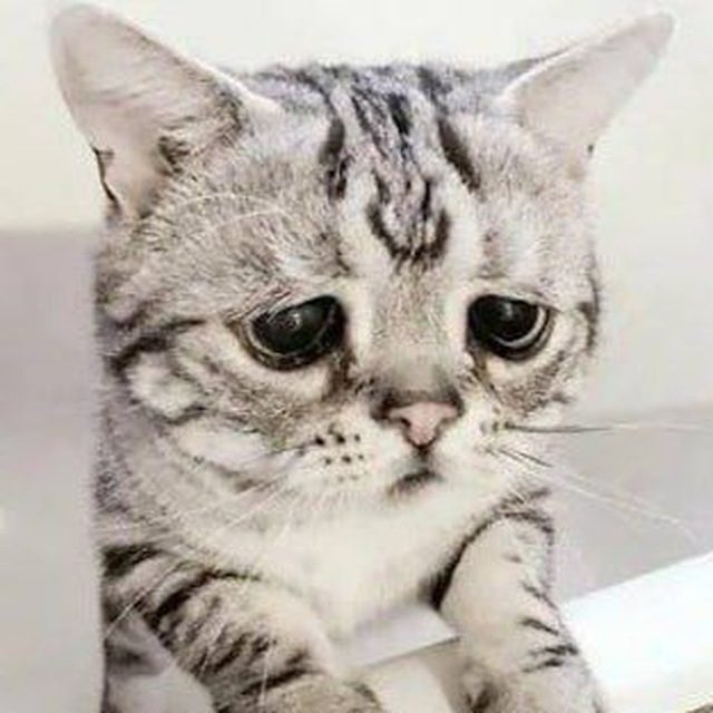 родион садовод