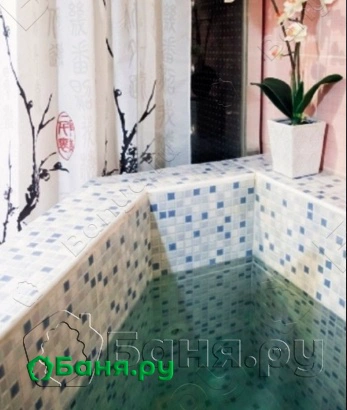 Қыздың жыныс мүшесін көтеріп жатқан видеосы