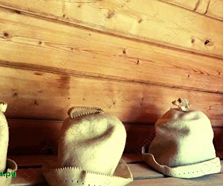 Жезөкшелердің қынаптарының жақыннан жасалған фотосуреттері