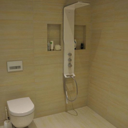 Душевая панель Hansgrohe Raindance Lift 27008000