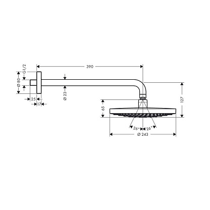 Верхний душ Hansgrohe Raindance Select S 240 2jet 26466400