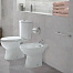 Gala Arco-N 9003301 Напольный унитаз с крышкой и бачком