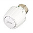 Danfoss RTR/RTD 7095 термостатический элемент для клапана RTD 013G7095