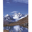 Газовый проточный водонагреватель Superflame SF0120 glass Лес