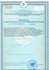 Приложение к свидетельству о государственной регистрации АПИФЕН