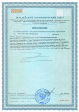 Приложение к свидетельству о государственной регистрации ИНСУНОЛ