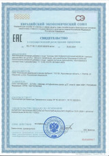 Свидетельство о государственной регистрации ПОДЖЕЛУДОЧНАЯ ЖЕЛЕЗА