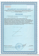 Приложение к свидетельству о государственной регистрации МАГНИЙ ХЕЛАТ НЕЙРО